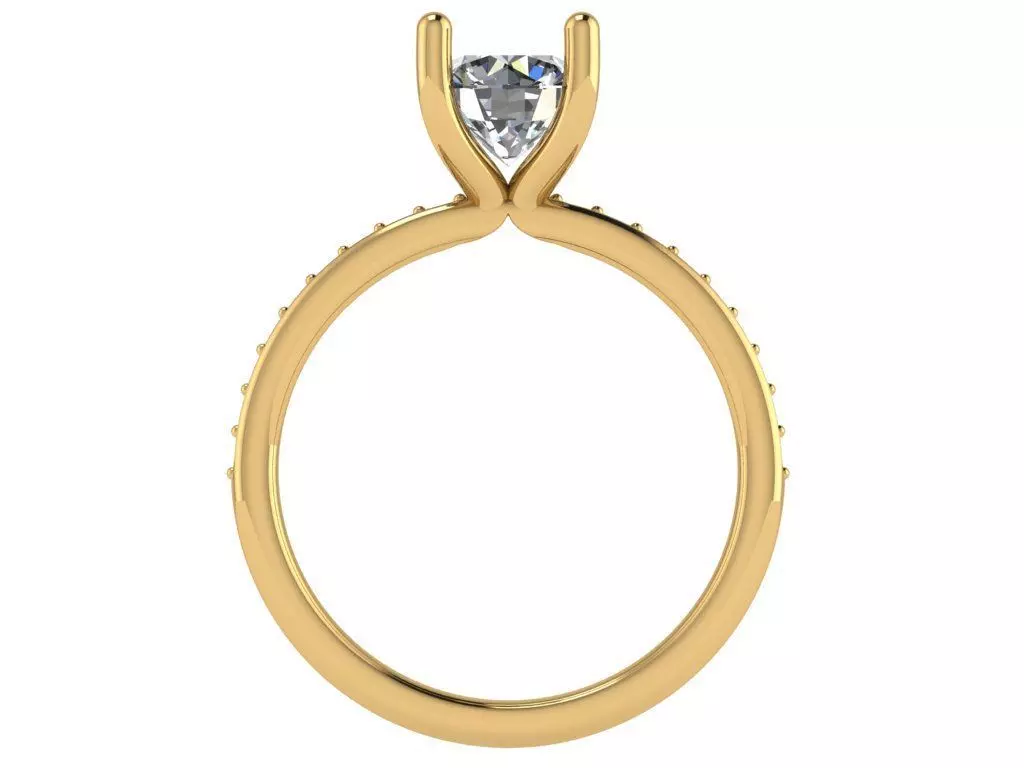 model 24 3D print model_1