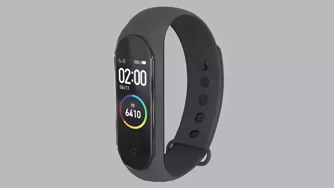 Smart Wristband