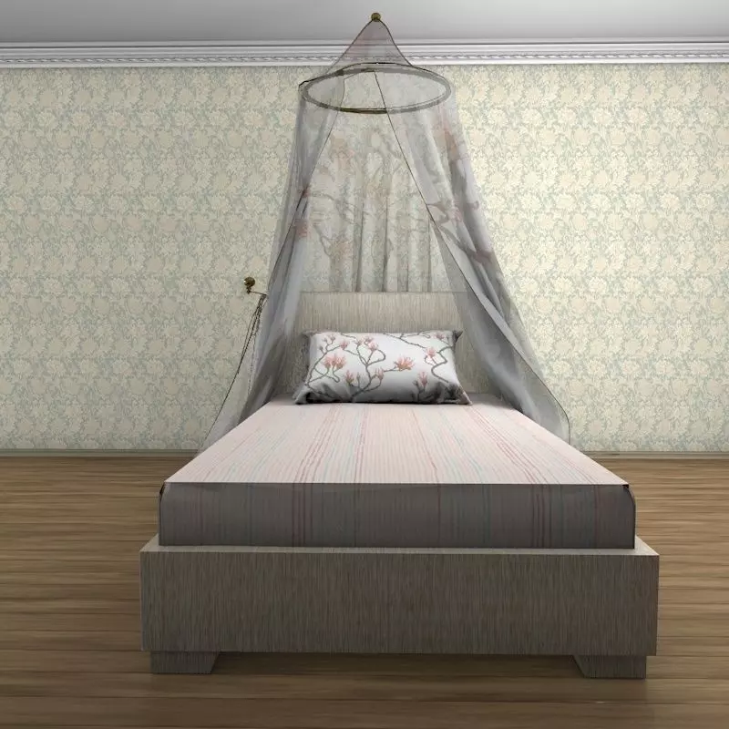 Classic bed with baldahin and  pillows 3D model_0