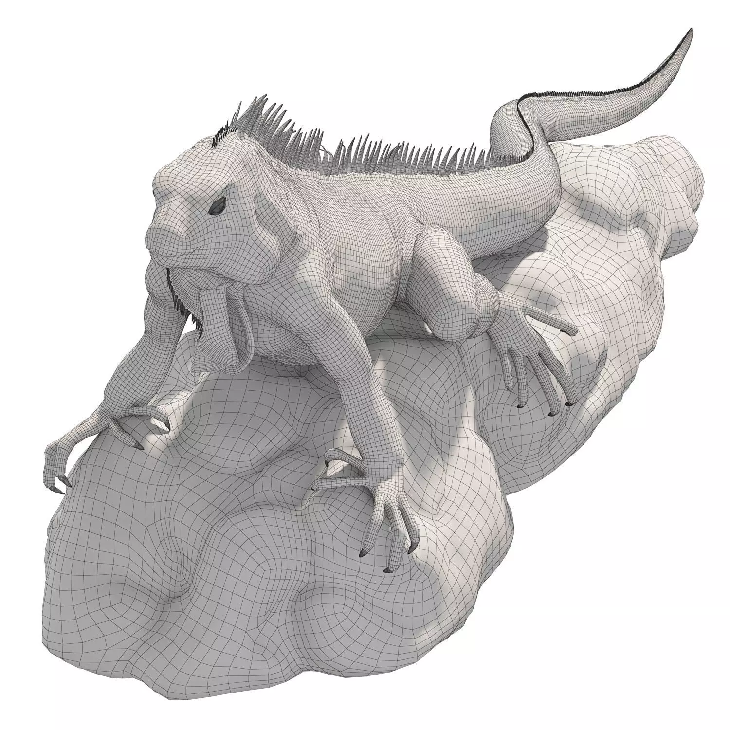 Iguana on a rock 3D model_6