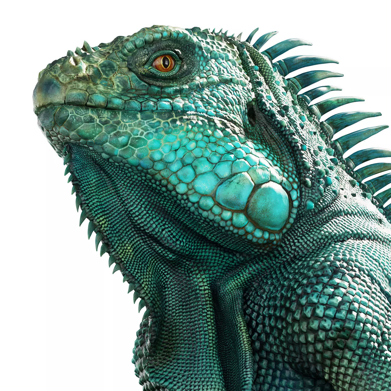Iguana on a rock 3D model_4
