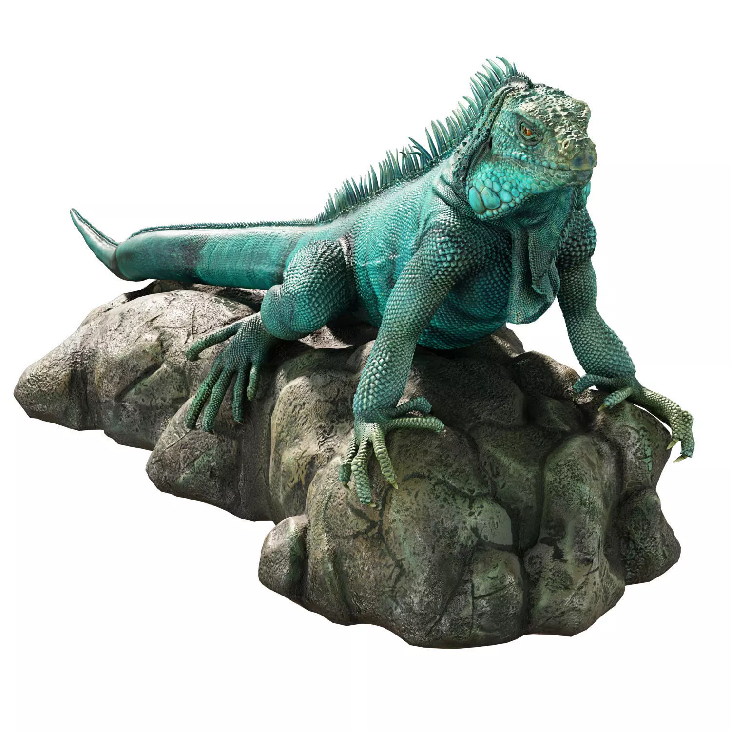 Iguana on a rock 3D model_0