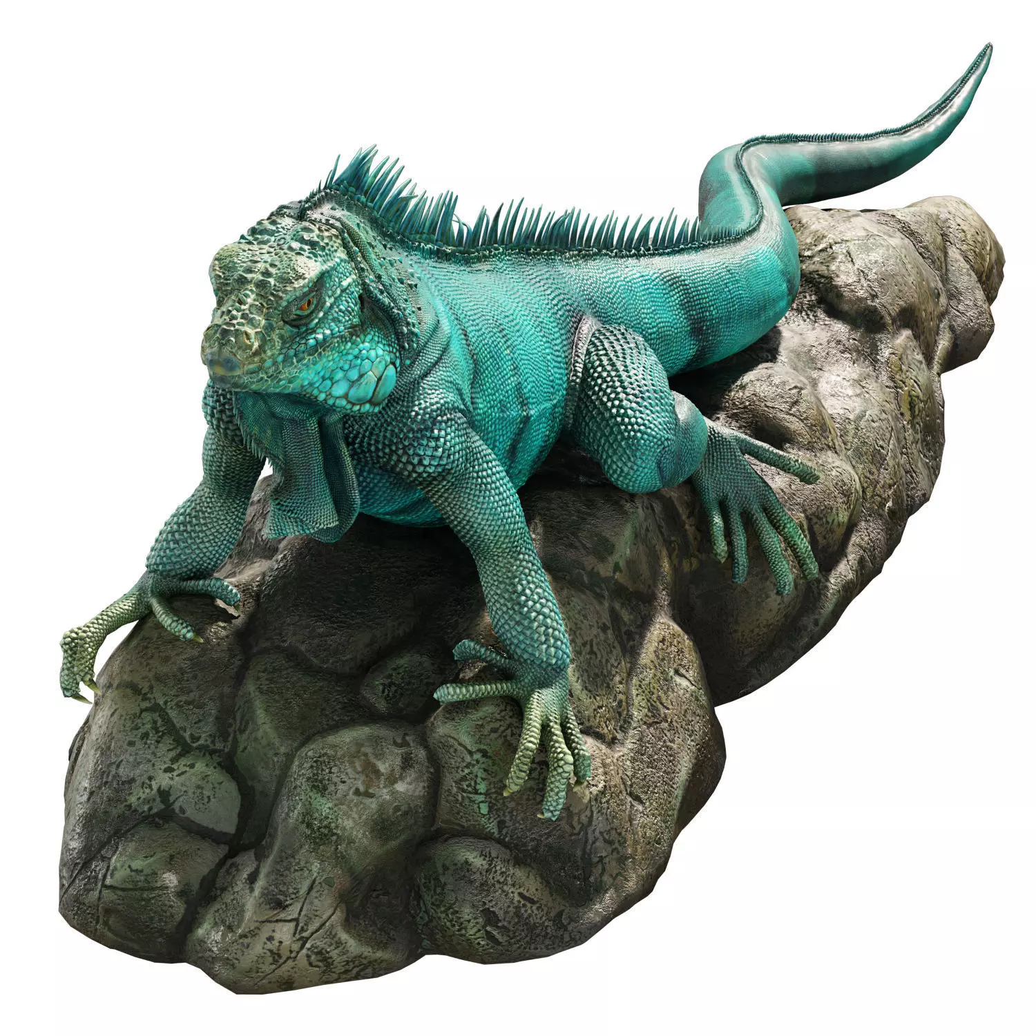 Iguana on a rock 3D model_1