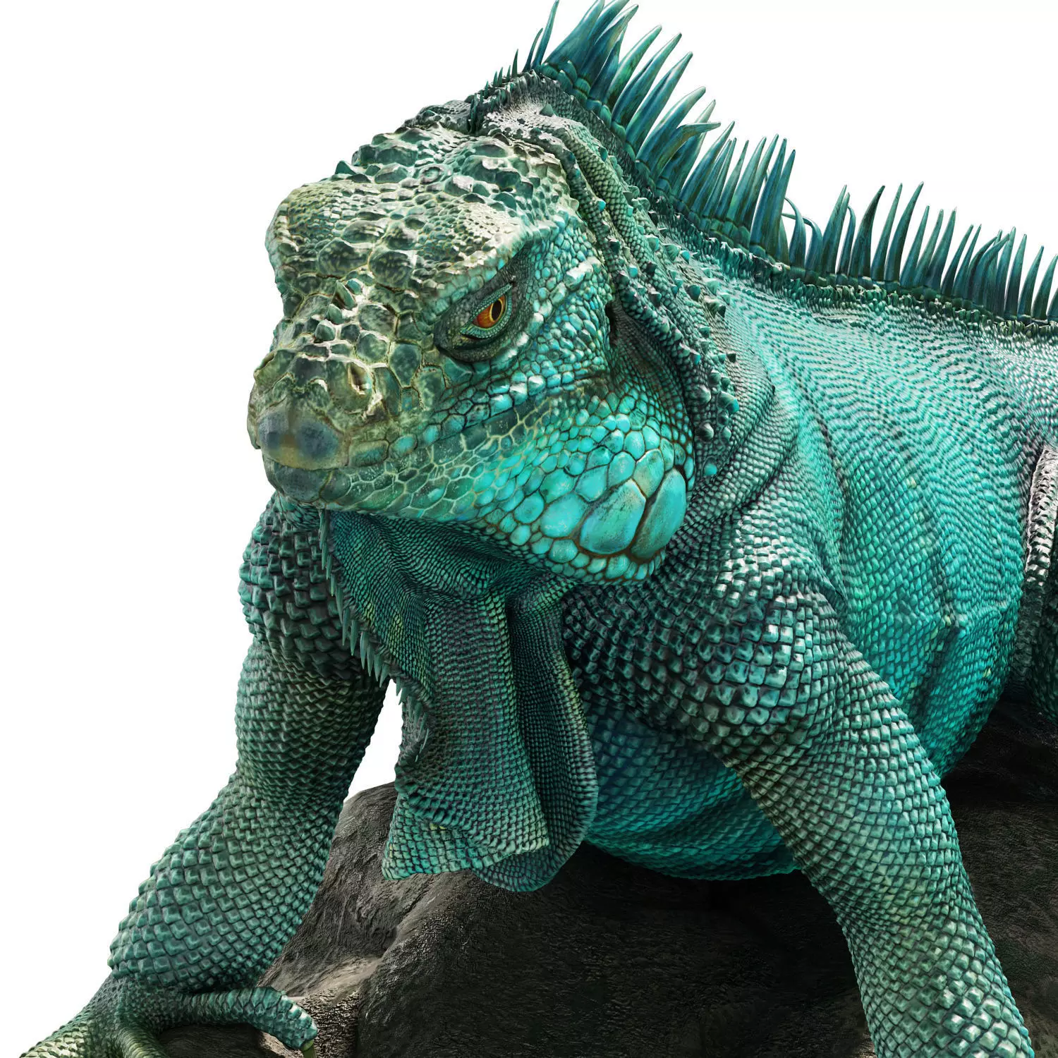 Iguana on a rock 3D model_2