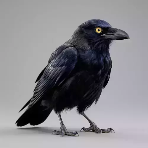 Midnight Raven Low-poly 3D model