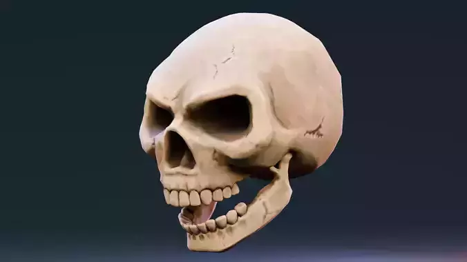 Stylized Halloween Props - Skull Low-poly 3D model