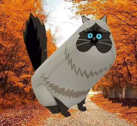 Himalayan Persian Cat 3D Model Low-poly 3D model