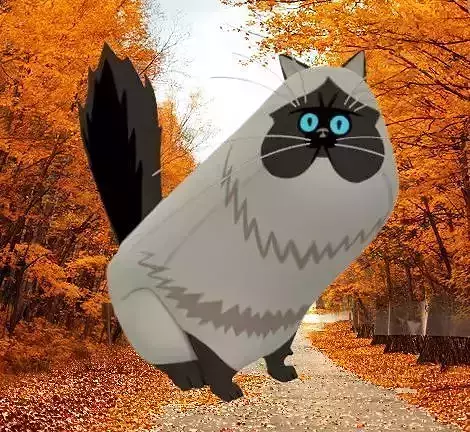 Himalayan Persian Cat 3D Model