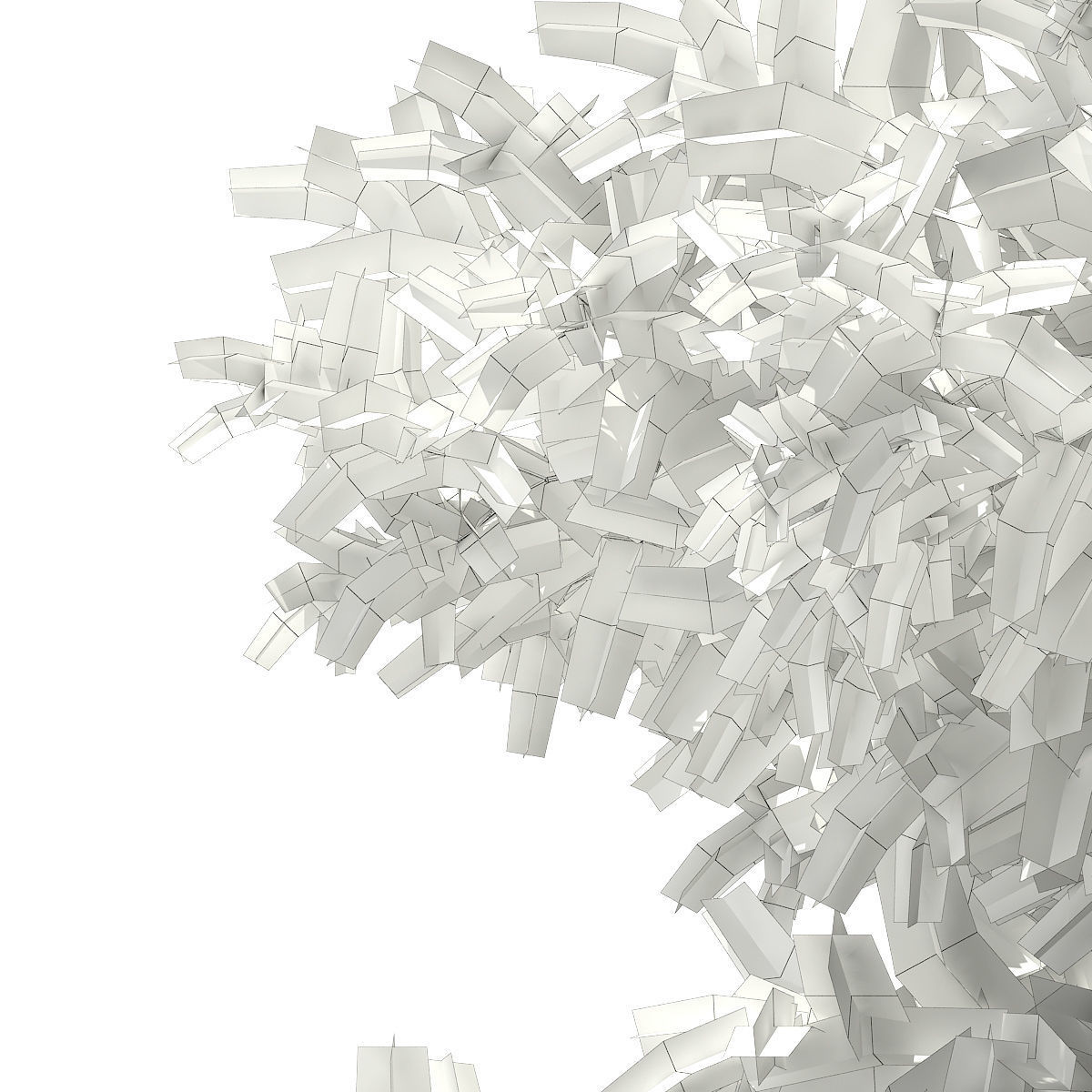 Scots Pine Tree Pinus sylvestris 9m 3D model_7