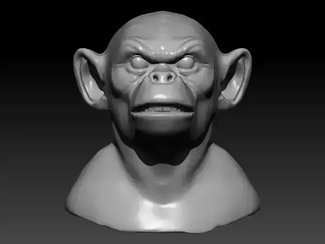 Monkey head 3d  model 3D model