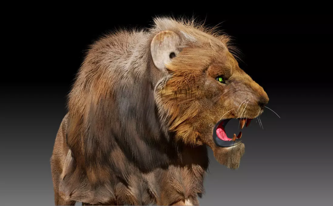 Lion animal 3D model_2