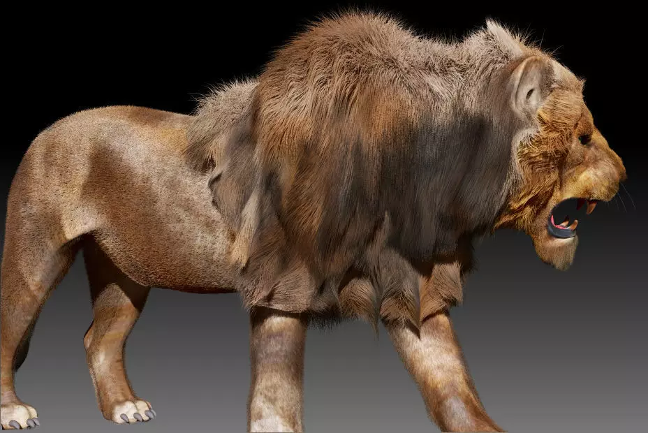 Lion animal 3D model_3
