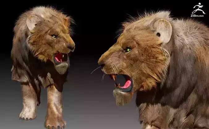 Lion animal 3D model