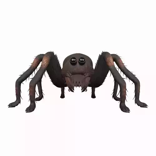Giant Hairy Spider Plush 3D Model Game Character