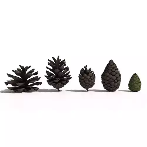 Pine Cone Pack