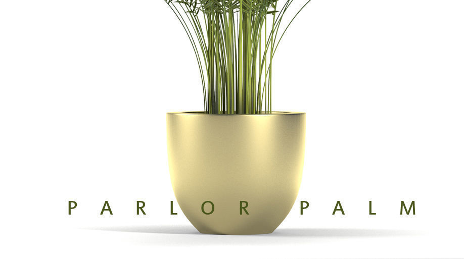 Plant 67 3D model_2