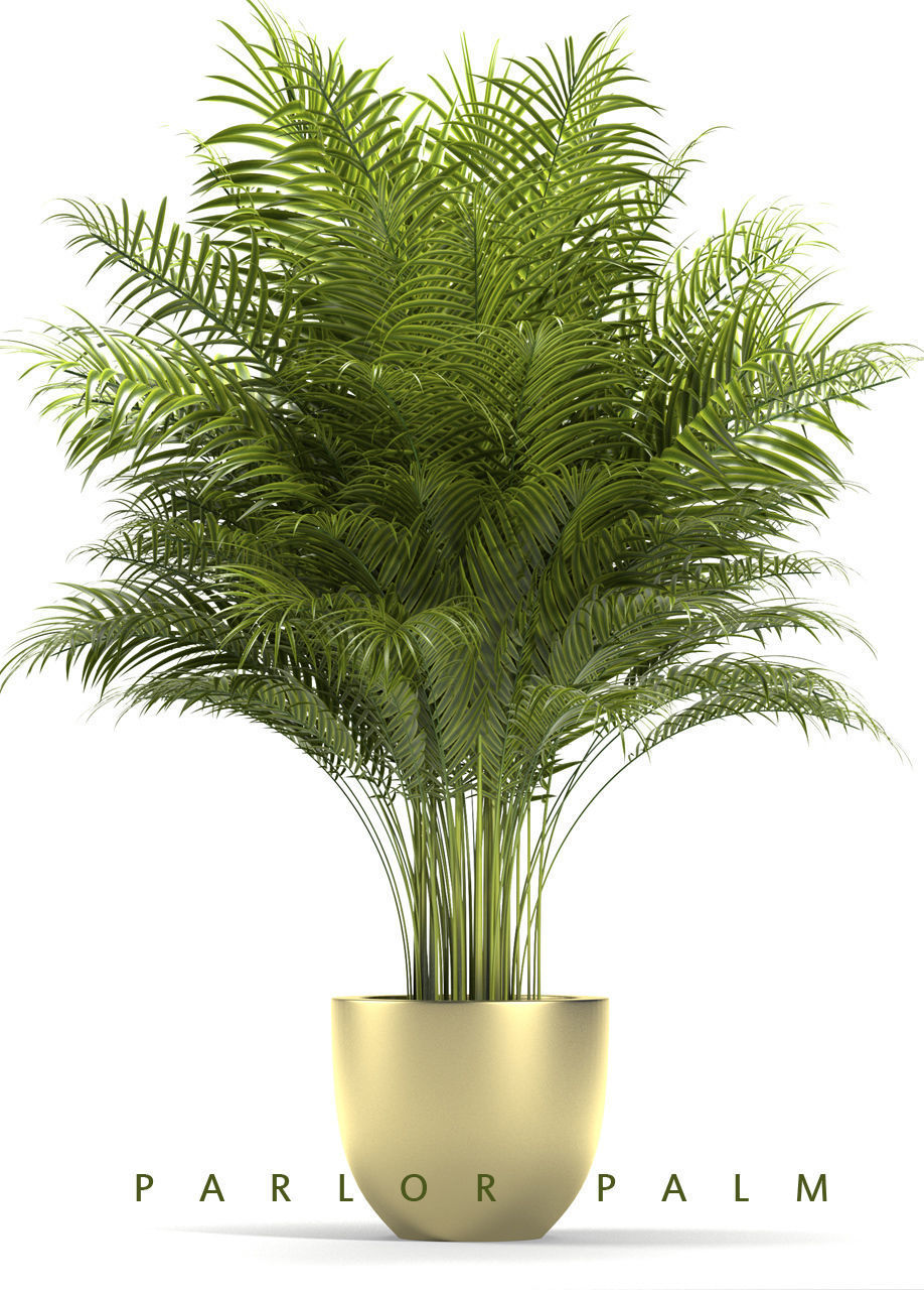 Plant 67 3D model_1