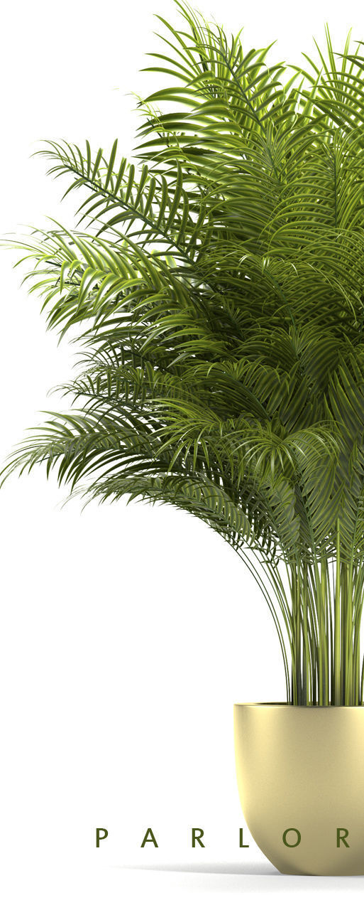 Plant 67 3D model_4