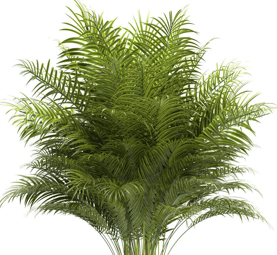 Plant 67 3D model_3