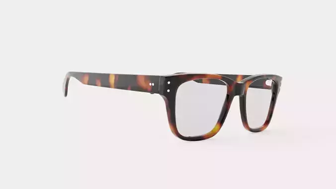 Earnst Tortoise Glasses