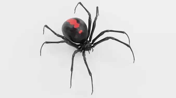 Black Widow Spider - Rigged
