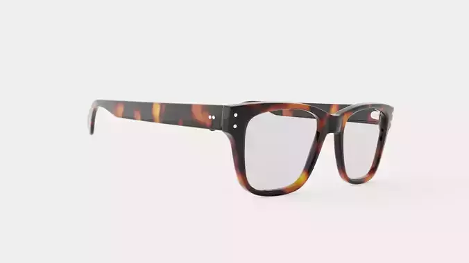 Earnst Tortoise Glasses