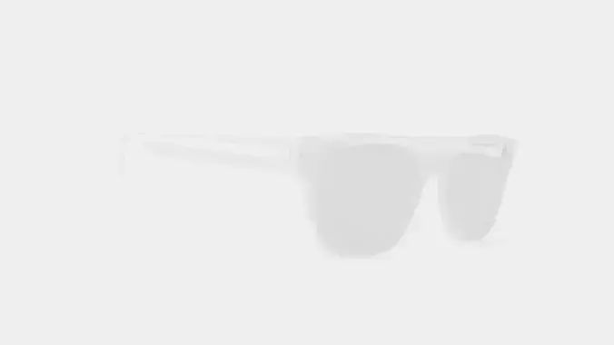 Earnst Clear Glasses