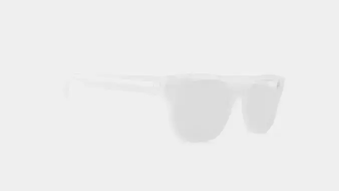 Earnst Clear Glasses