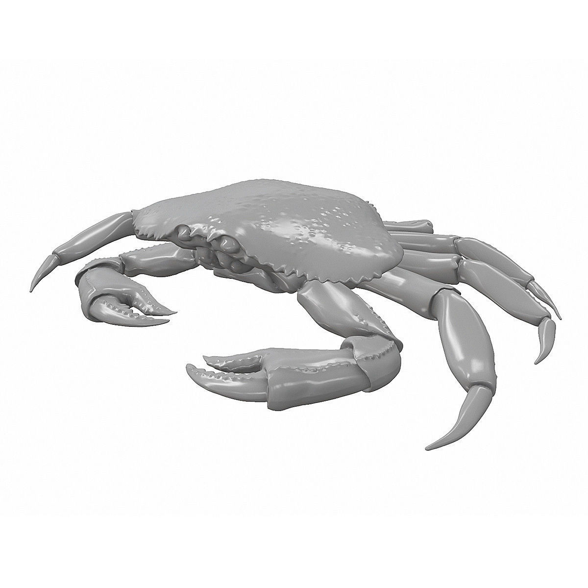 Printable Dungeness crab Free 3D print model_4