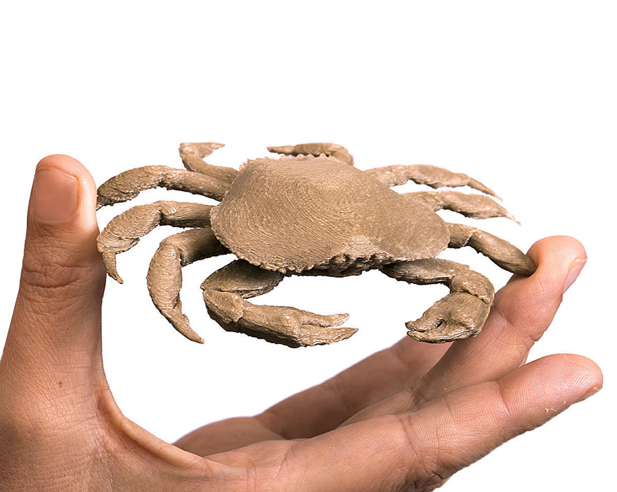 Printable Dungeness crab Free 3D print model_9