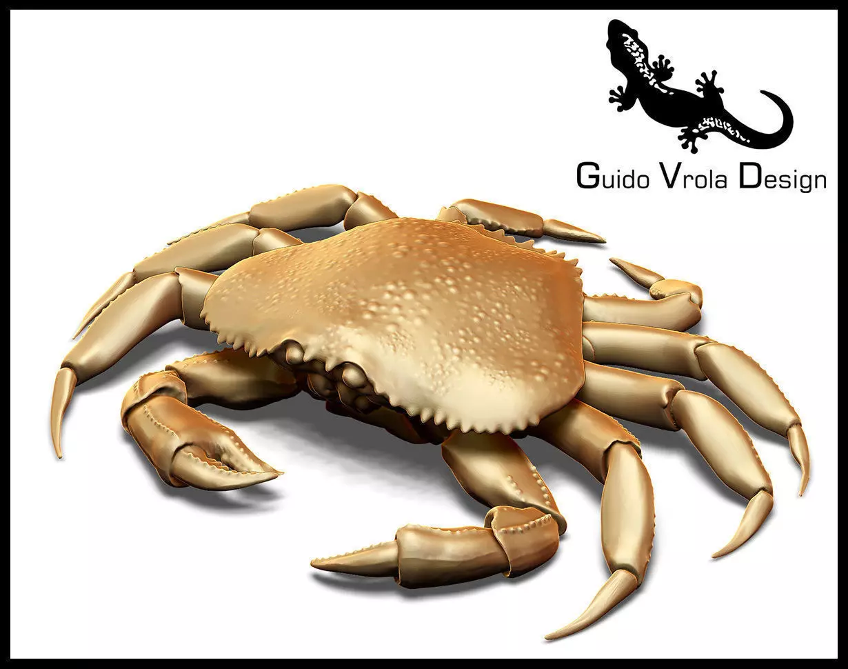 Printable Dungeness crab Free 3D print model_0
