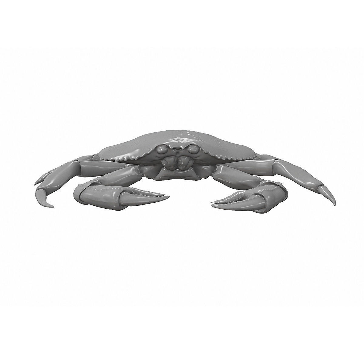 Printable Dungeness crab Free 3D print model_3