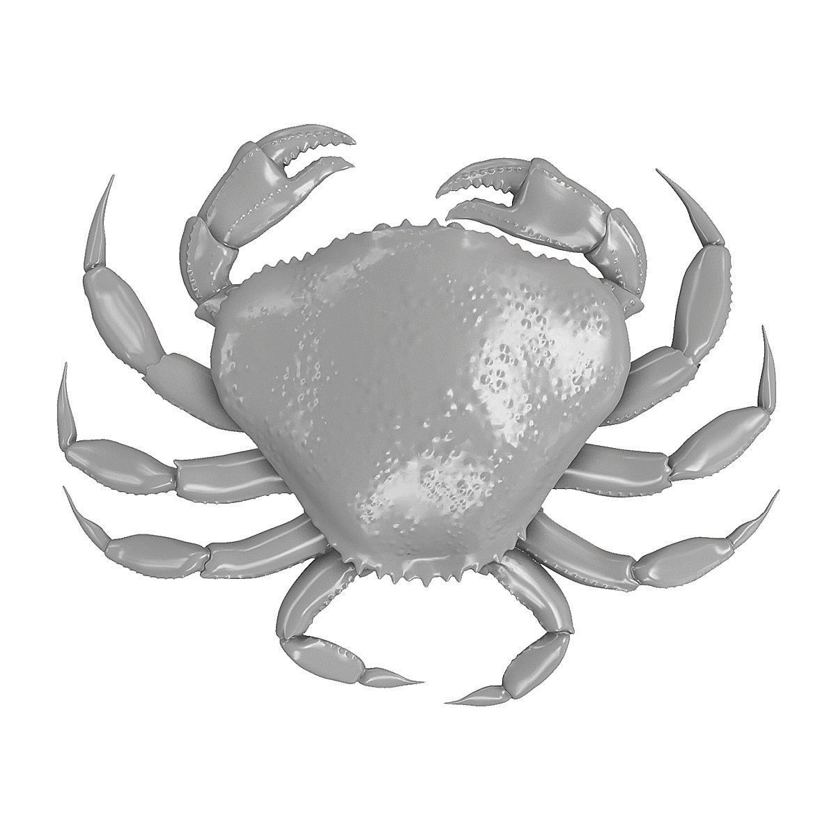 Printable Dungeness crab Free 3D print model_2