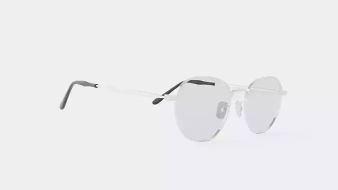 Winston Silver Glasses