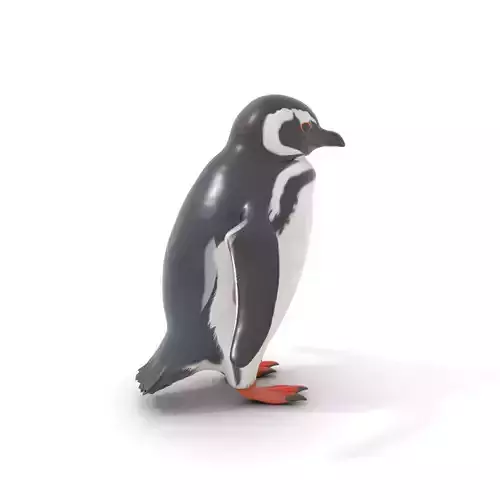 Charming Penguin model pack