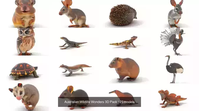 Australian Wildlife Wonders 3D Pack 3D Model Collection