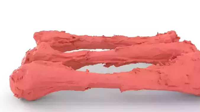 Chicken bone with flesh 3d scan 3D model 4