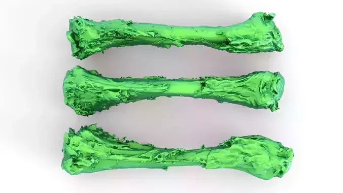 Chicken bone with flesh 3d scan 3D model 2