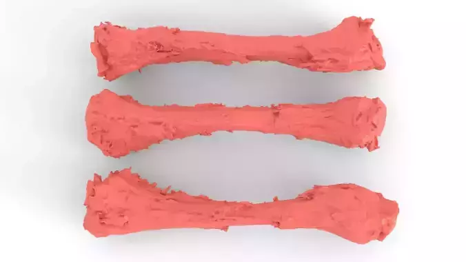 Chicken bone with flesh 3d scan 3D model 7