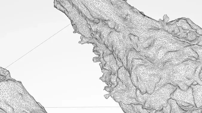 Chicken bone with flesh 3d scan 3D model 6