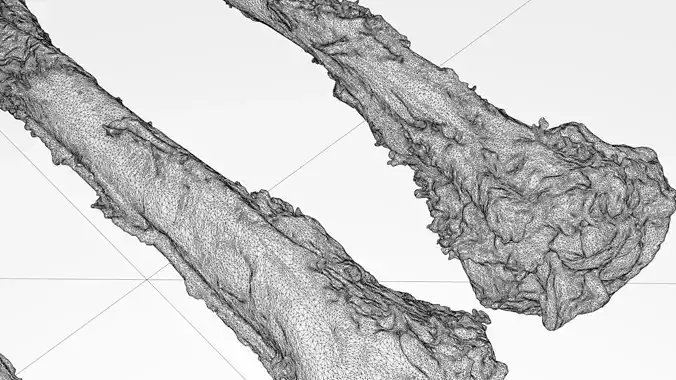 Chicken bone with flesh 3d scan 3D model 5