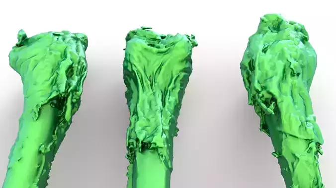 Chicken bone with flesh 3d scan 3D model 3