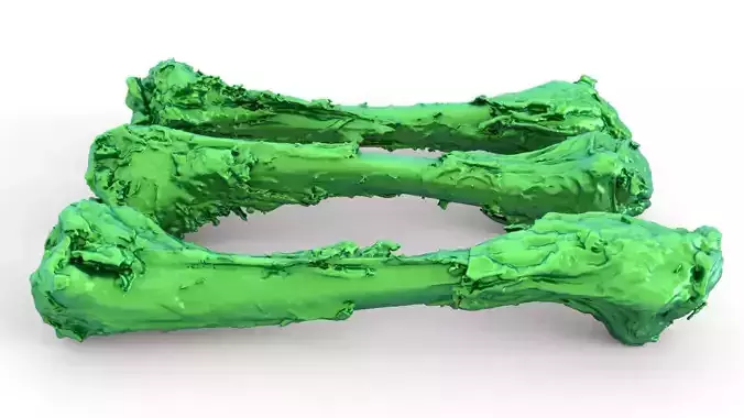Chicken bone with flesh 3d scan