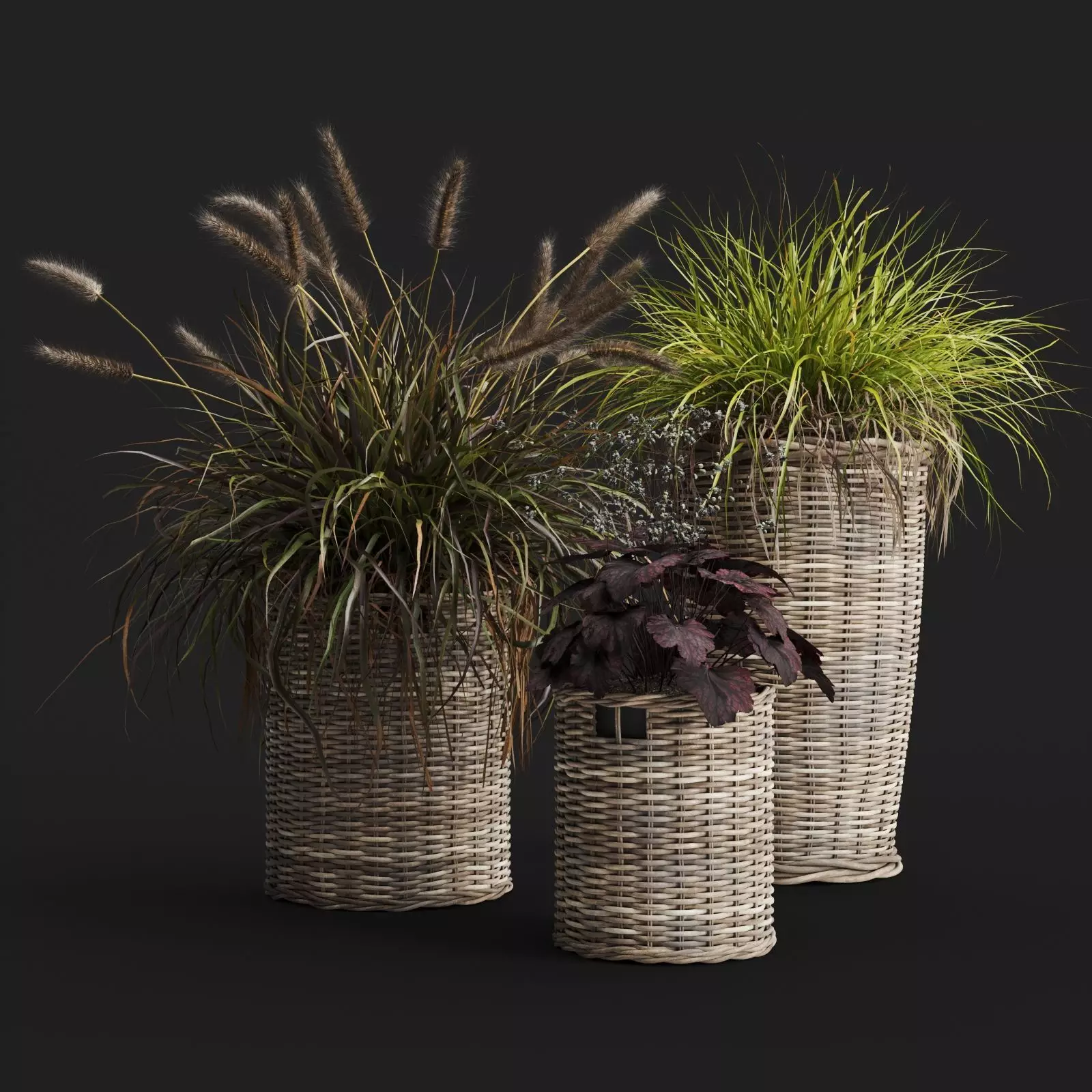 Decorative Grasses in Wicker Baskets 3D model