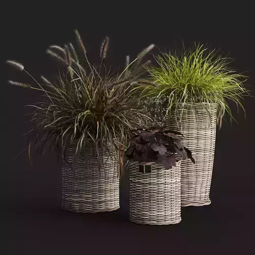 Decorative Grasses in Wicker Baskets