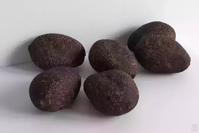 Potato