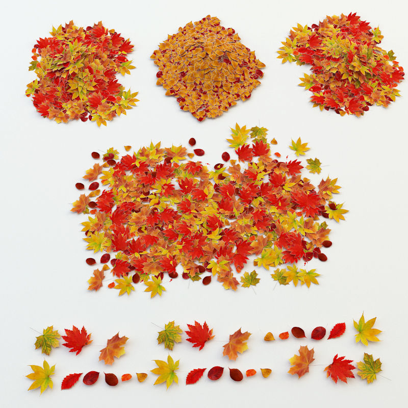 Autumn Leaves