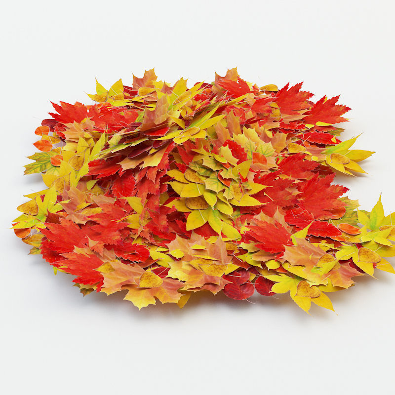 Autumn Leaves Low-poly 3D model_2