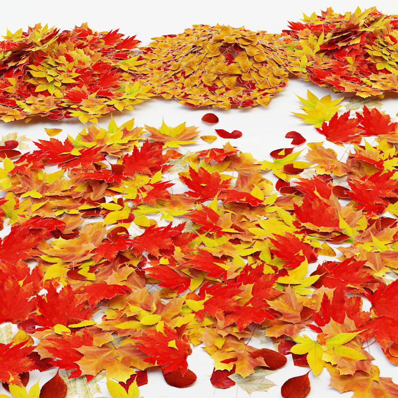 Autumn Leaves Low-poly 3D model_1