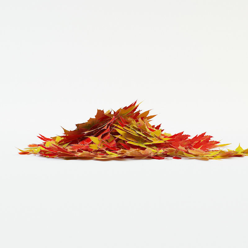 Autumn Leaves Low-poly 3D model_3